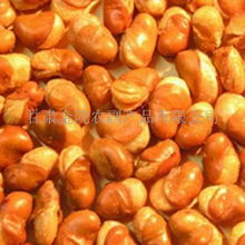 探尋甘肅金隴農副產品的瑰寶 傳統風味與健康生活的完美結合