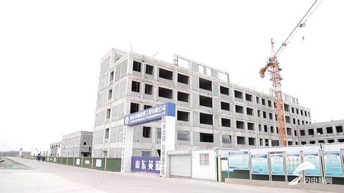 平原縣 聚焦綠色化工與農(nóng)副產(chǎn)品精深加工，雙輪驅(qū)動(dòng)沖刺百億產(chǎn)值新高地