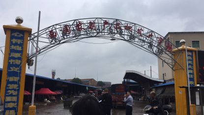 衡陽市西園農(nóng)副產(chǎn)品批發(fā)大市場債權(quán)問題分析 農(nóng)副產(chǎn)品流通環(huán)節(jié)的金融風險與應(yīng)對策略