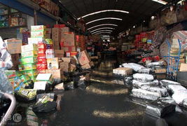 上海一淤泥處理場圍墻倒塌致農(nóng)副產(chǎn)品市場被淹，應(yīng)急處置工作展開