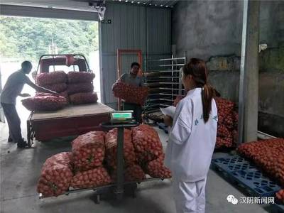 鎮(zhèn)園聯(lián)盟+電商聯(lián)盟 漢陰農(nóng)副產(chǎn)品鼓起村民“錢袋子”的雙引擎