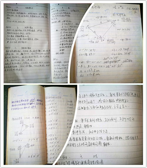 卓越校友回歸母校，悉心指導助力成長——湖南環境生物職業技術學院校友分享會側記