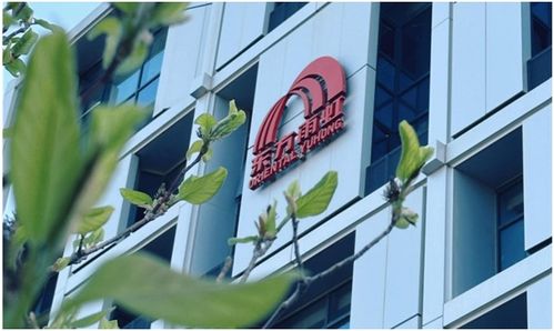 東方雨虹2023年財報解讀 營收利潤雙增，技術創新驅動高質量發展